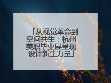从视觉革命到空间共生：杭州美职毕业展呈现设计新生力量