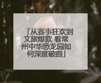 从赛事狂欢到文旅爆款 看常州中华恐龙园如何深度破圈