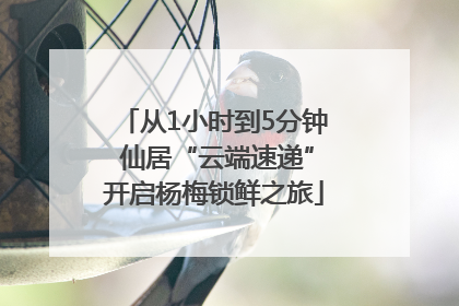 从1小时到5分钟 仙居“云端速递”开启杨梅锁鲜之旅
