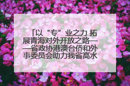 以“专”业之力 拓展青海对外开放之路——省政协港澳台侨和外事委员会助力我省高水平开放和高质量发展