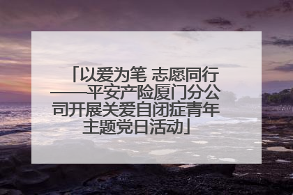 以爱为笔 志愿同行——平安产险厦门分公司开展关爱自闭症青年主题党日活动