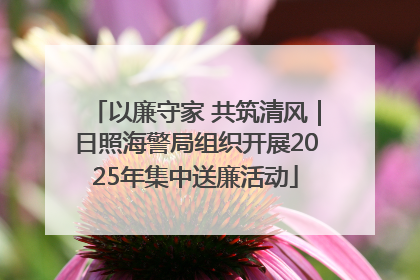 以廉守家 共筑清风｜日照海警局组织开展2025年集中送廉活动
