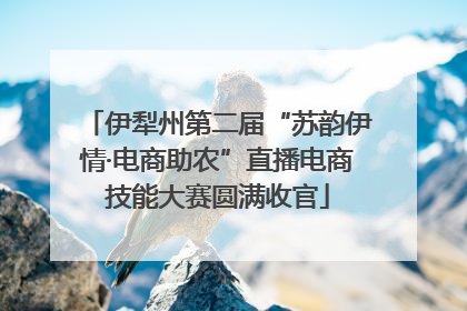 伊犁州第二届“苏韵伊情·电商助农”直播电商技能大赛圆满收官