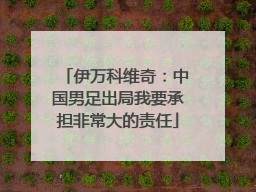 伊万科维奇：中国男足出局我要承担非常大的责任