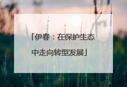 伊春：在保护生态中走向转型发展