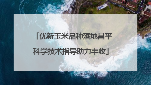 优新玉米品种落地昌平 科学技术指导助力丰收