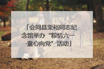 会同县粟裕同志纪念馆举办“粽情六一·童心向党”活动