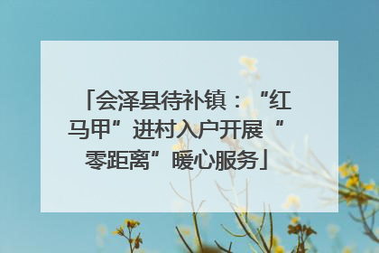 会泽县待补镇：“红马甲”进村入户开展“零距离”暖心服务