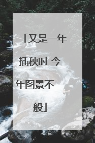 又是一年插秧时 今年图景不一般