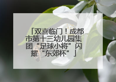 双喜临门！成都市第十三幼儿园集团“足球小将”闪耀“东郊杯”
