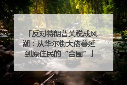 反对特朗普关税成风潮：从华尔街大佬蔓延到原住民的“合围”