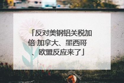 反对美钢铝关税加倍 加拿大、墨西哥、欧盟反应来了