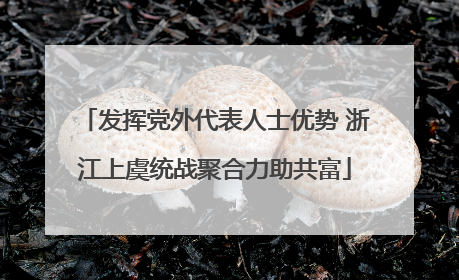发挥党外代表人士优势 浙江上虞统战聚合力助共富