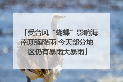 受台风“蝴蝶”影响海南现强降雨 今天部分地区仍有暴雨大暴雨