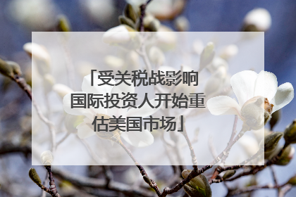 受关税战影响 国际投资人开始重估美国市场