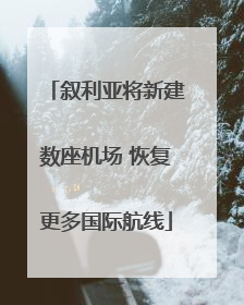 叙利亚将新建数座机场 恢复更多国际航线