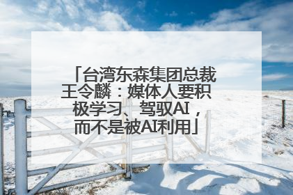 台湾东森集团总裁王令麟：媒体人要积极学习、驾驭AI，而不是被AI利用