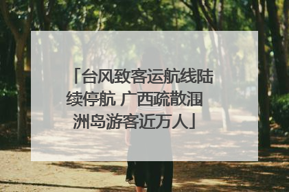 台风致客运航线陆续停航 广西疏散涠洲岛游客近万人