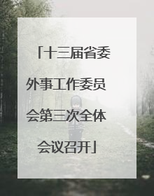 十三届省委外事工作委员会第三次全体会议召开
