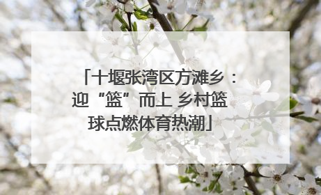 十堰张湾区方滩乡：迎“篮”而上 乡村篮球点燃体育热潮