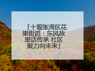 十堰张湾区花果街道：东风故里话传承 社区聚力向未来