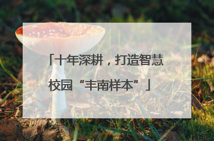 十年深耕，打造智慧校园“丰南样本”