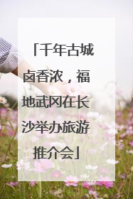 千年古城卤香浓，福地武冈在长沙举办旅游推介会