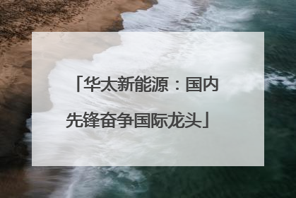 华太新能源：国内先锋奋争国际龙头