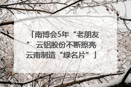 南博会5年“老朋友” 云铝股份不断擦亮云南制造“绿名片”