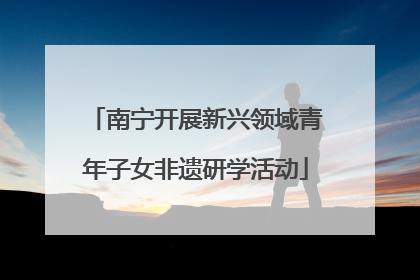 南宁开展新兴领域青年子女非遗研学活动