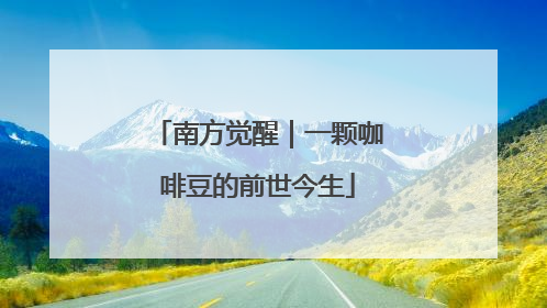南方觉醒｜一颗咖啡豆的前世今生
