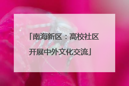 南海新区：高校社区开展中外文化交流