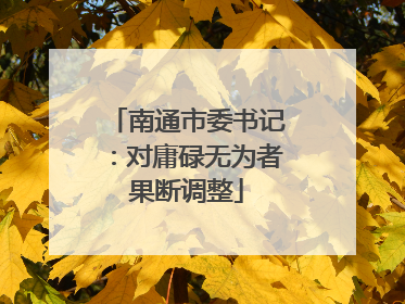 南通市委书记：对庸碌无为者果断调整