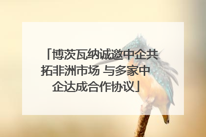 博茨瓦纳诚邀中企共拓非洲市场 与多家中企达成合作协议