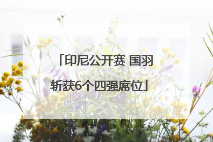 印尼公开赛 国羽斩获6个四强席位