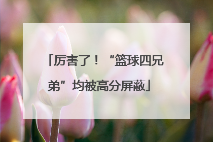 厉害了！“篮球四兄弟”均被高分屏蔽