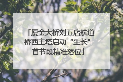 厦金大桥刘五店航道桥西主塔启动“生长” 首节段精准落位