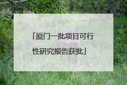 厦门一批项目可行性研究报告获批