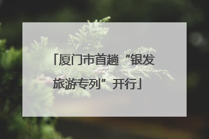 厦门市首趟“银发旅游专列”开行