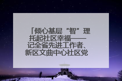 倾心基层“智”理 托起社区幸福——记全省先进工作者、新区文曲中心社区党委书记董世弘