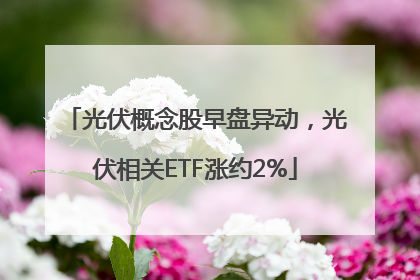 光伏概念股早盘异动，光伏相关ETF涨约2%