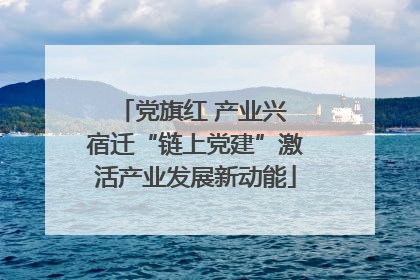 党旗红 产业兴 宿迁“链上党建”激活产业发展新动能