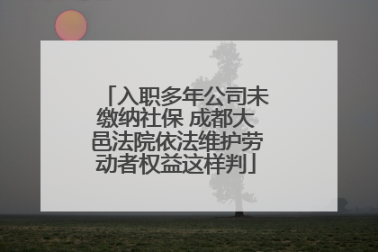 入职多年公司未缴纳社保 成都大邑法院依法维护劳动者权益这样判