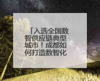 入选全国数智供应链典型城市！成都如何打造数智化外贸供应链