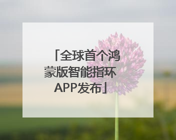 全球首个鸿蒙版智能指环APP发布