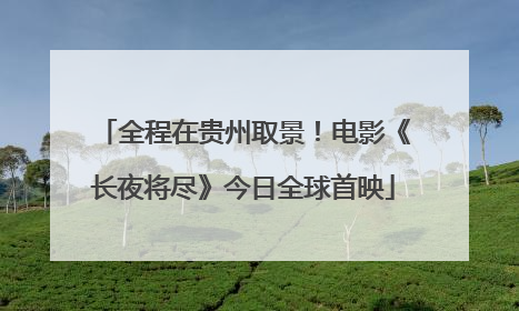 全程在贵州取景！电影《长夜将尽》今日全球首映