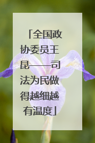全国政协委员王昆——司法为民做得越细越有温度