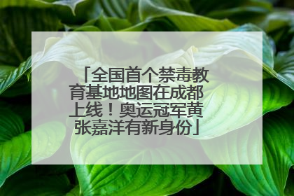 全国首个禁毒教育基地地图在成都上线！奥运冠军黄张嘉洋有新身份