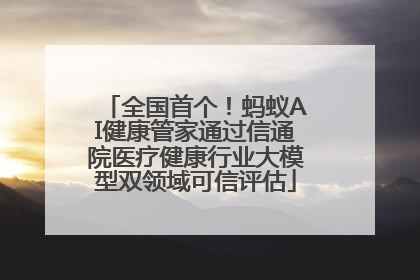 全国首个！蚂蚁AI健康管家通过信通院医疗健康行业大模型双领域可信评估