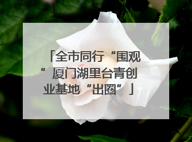 全市同行“围观”厦门湖里台青创业基地“出圈”